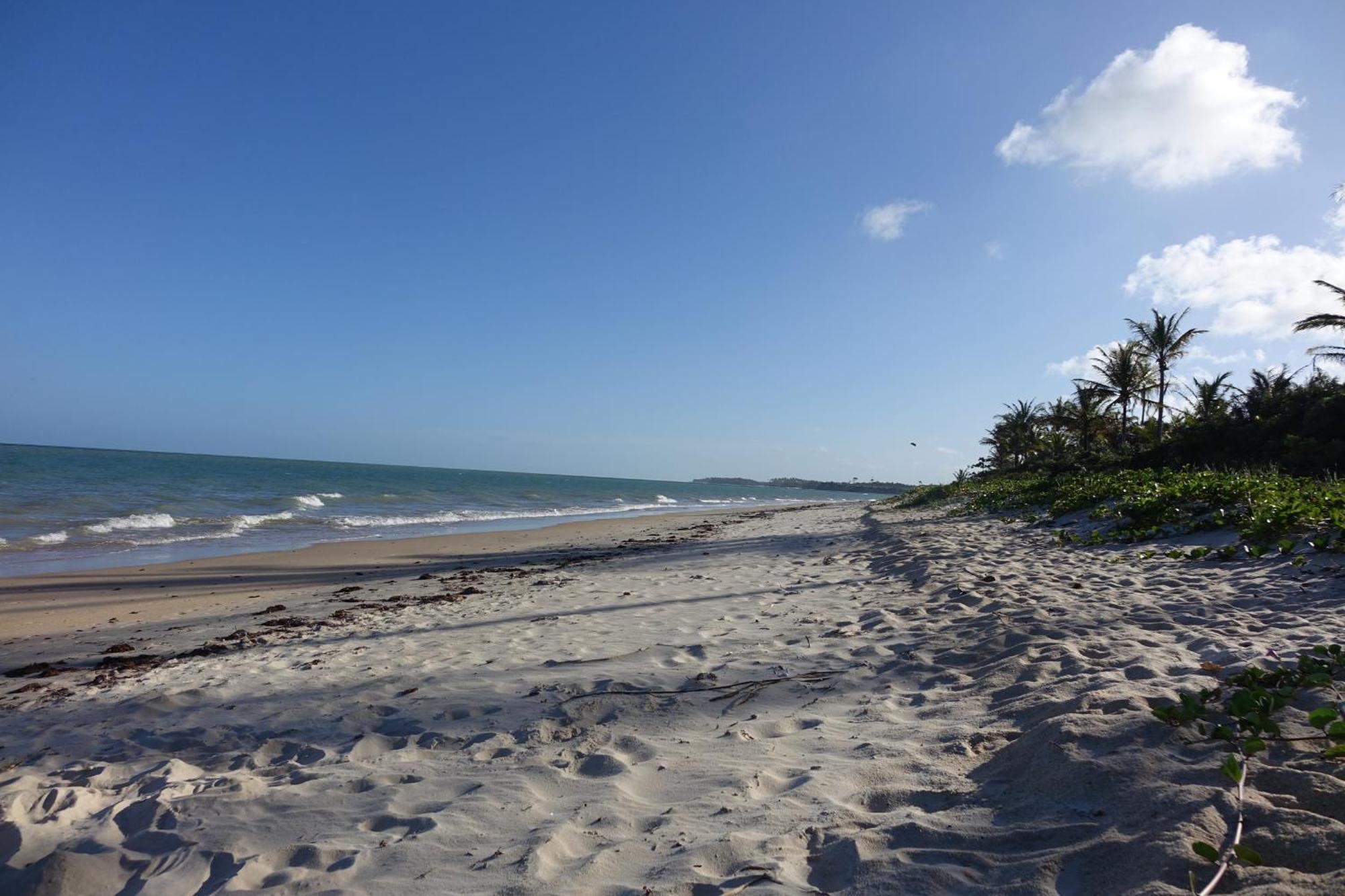 Chales Mata Da Praia Corumbau Buitenkant foto