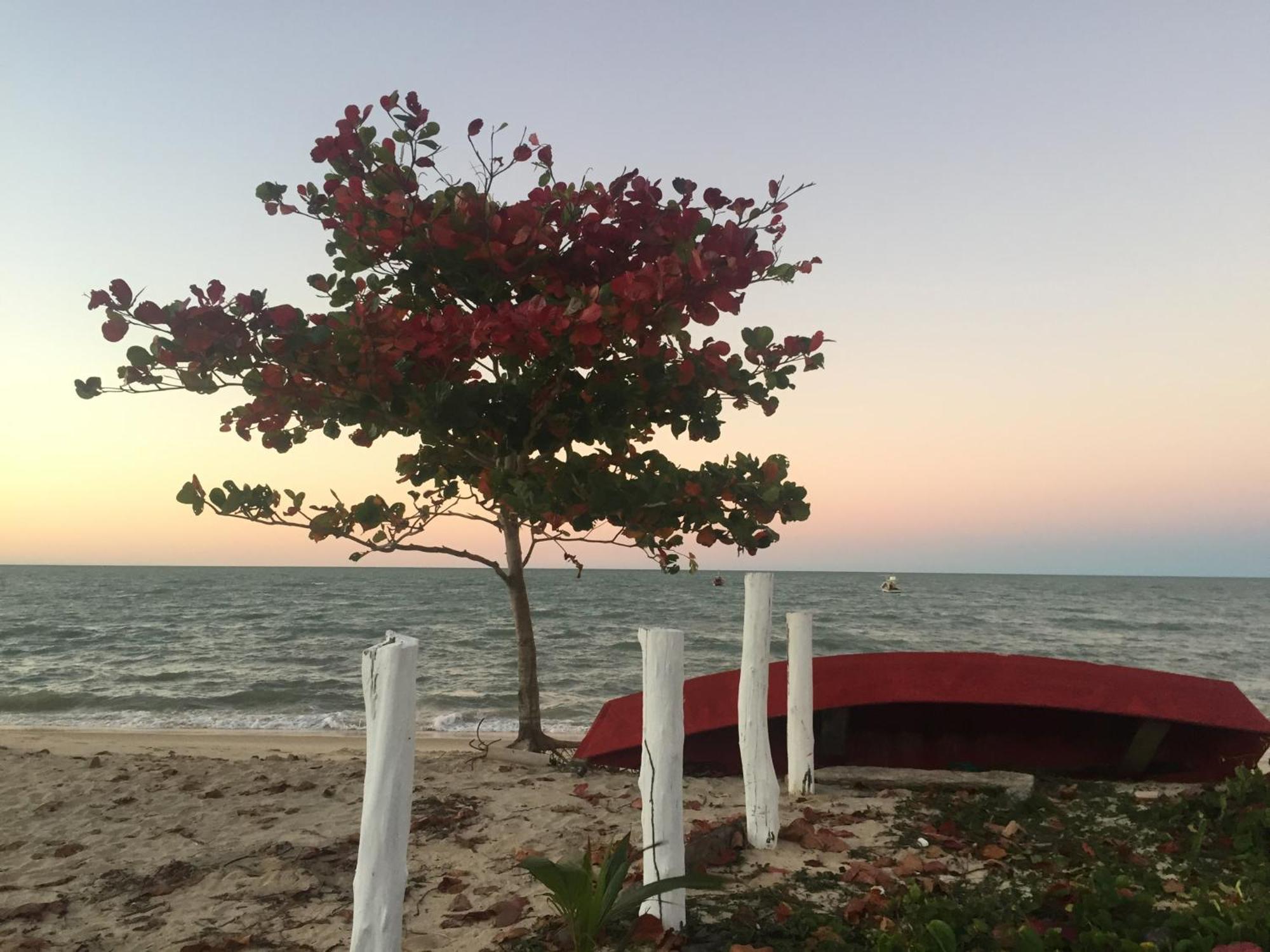 Chales Mata Da Praia Corumbau Buitenkant foto